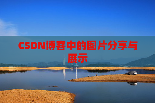 CSDN博客中的图片分享与展示
